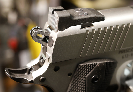 Picture of Extreme Service Rear Sights for the Ruger SR1911 Pistol
